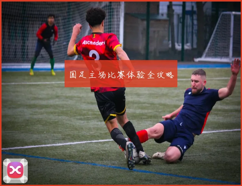 国足主场比赛体验全攻略