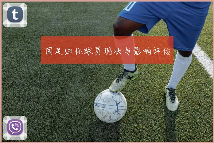 国足归化球员现状与影响评估